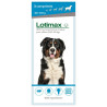 Traitement infestations Puces et Tiques pour chien - Lotimax