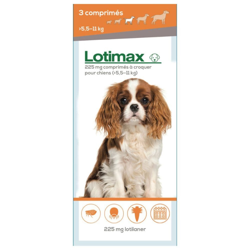 Traitement infestations Puces et Tiques pour chien - Lotimax