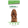 Traitement infestations Puces et Tiques pour chien - Lotimax