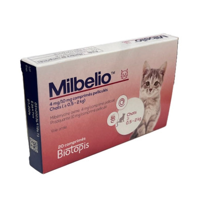 Milbelio chats & chatons