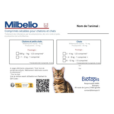 Pochette Milbelio Chat/Chaton x25